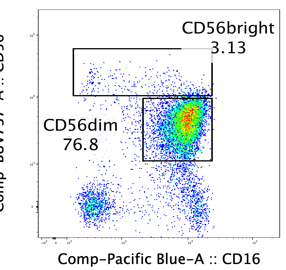Good CD56 Antibody from BD Biosciences | Biocompare Antibody Review